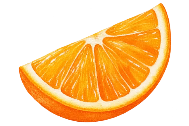 Fresh Orange Fruit Slice