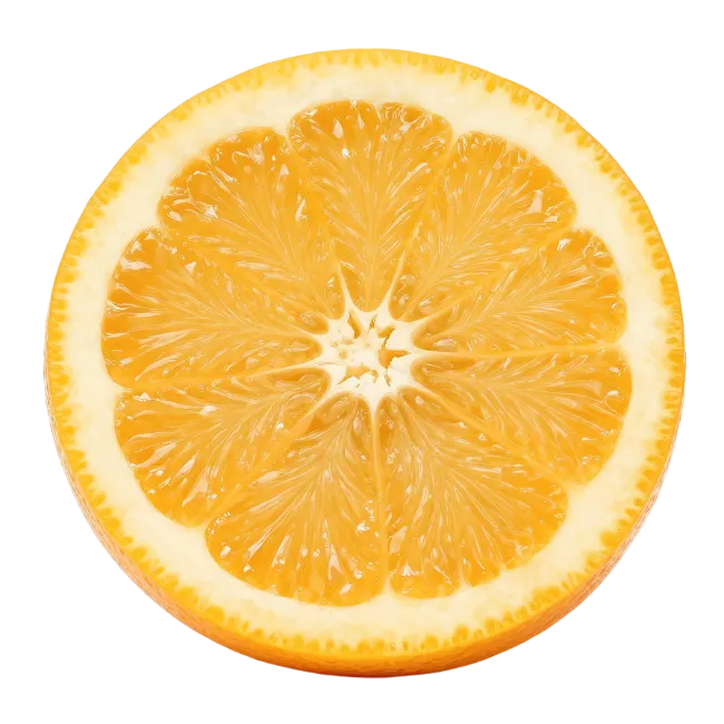 Fresh Orange Fruit Slice Cross Section
