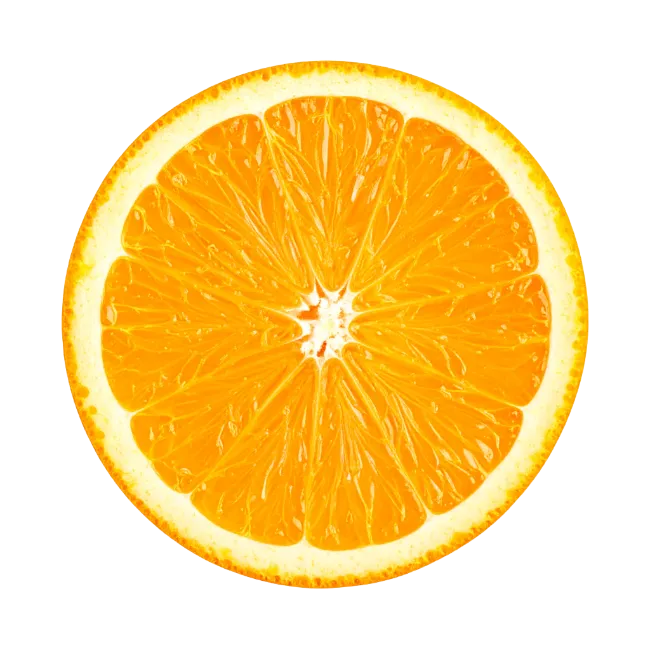Fresh Orange Fruit Slice Isolated