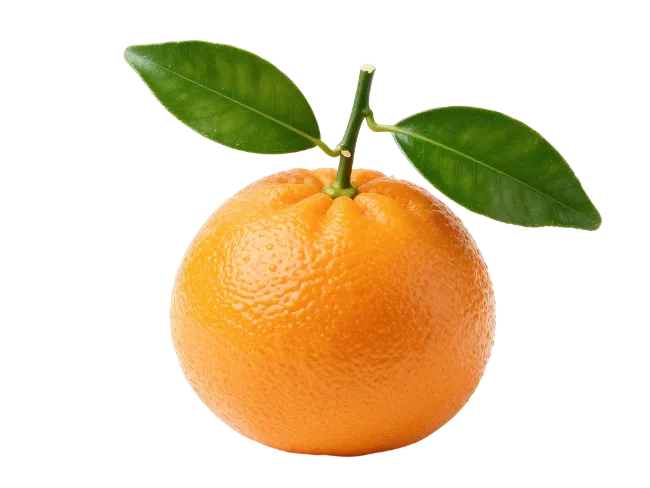 Fresh Orange Fruit with Green Leaves
