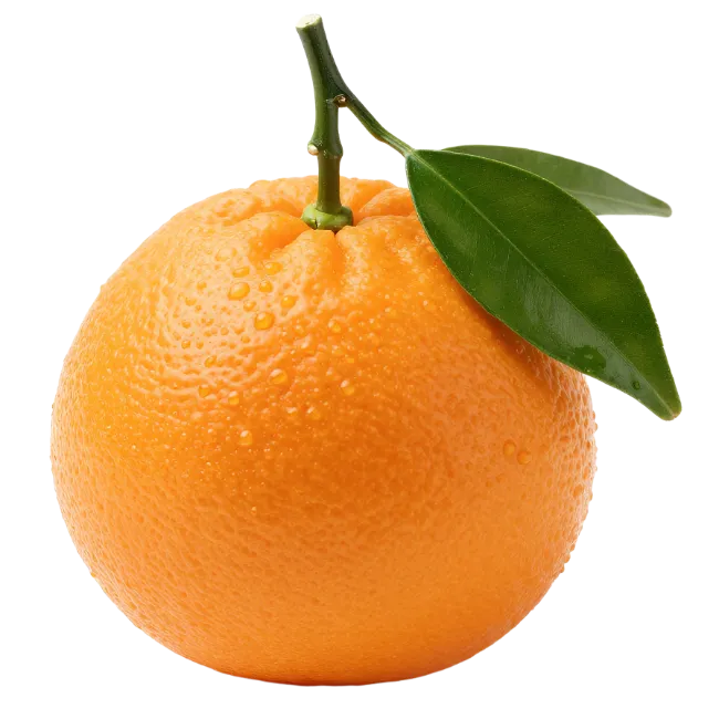 Fresh Orange Fruit with Leaf