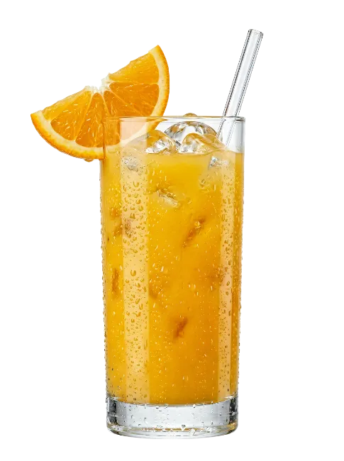 Fresh Orange Juice Glass with Ice and Slices