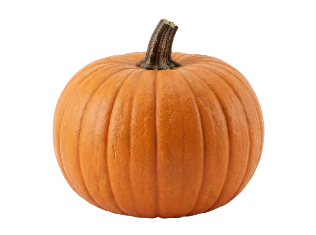 Fresh Orange Pumpkin with Stem