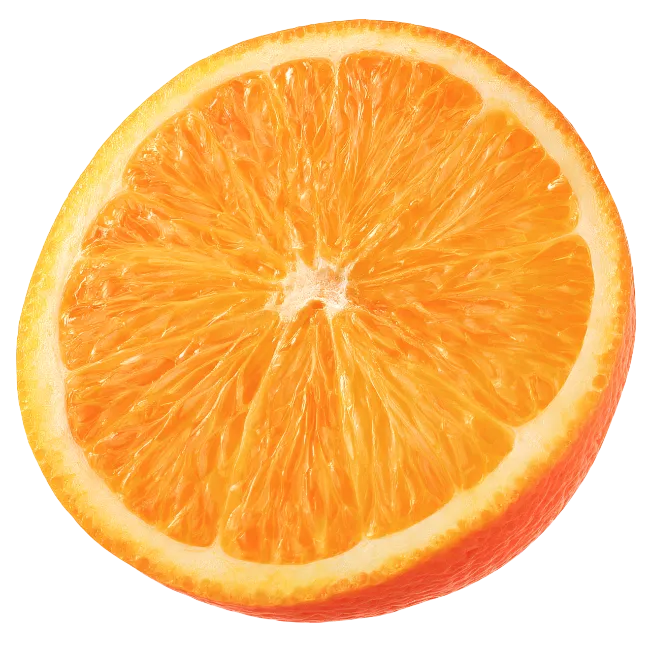 Fresh Orange Slices Cut in Half