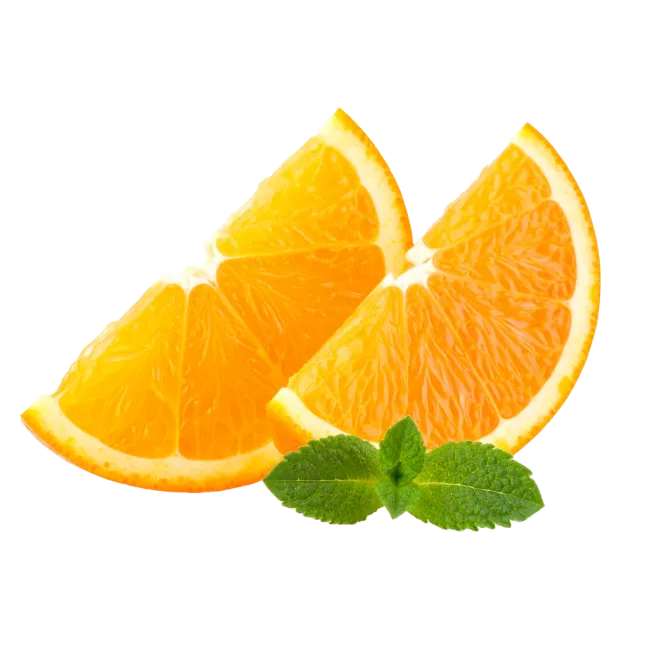 Fresh Orange Slices with Mint Leaves