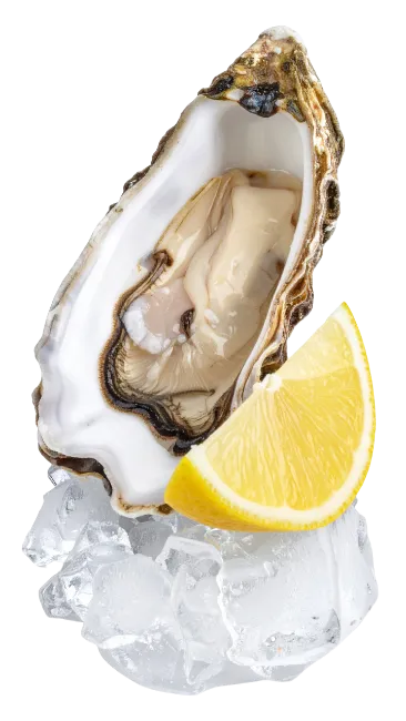 Fresh Oyster on Ice with Lemon Wedge