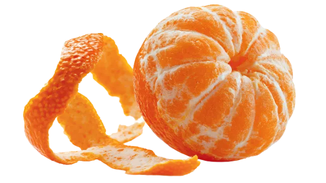 Fresh Peeled Tangerine Citrus Fruit