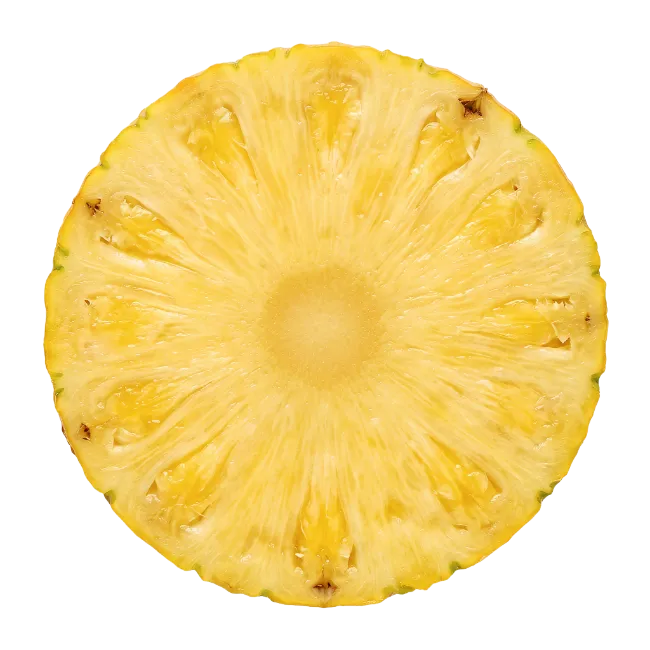 Fresh Pineapple Slice Cross Section