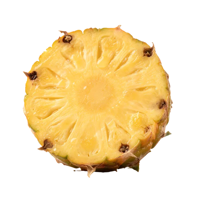 Fresh Pineapple Slice Cross Section