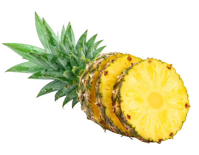 Fresh Pineapple Slices Isolated