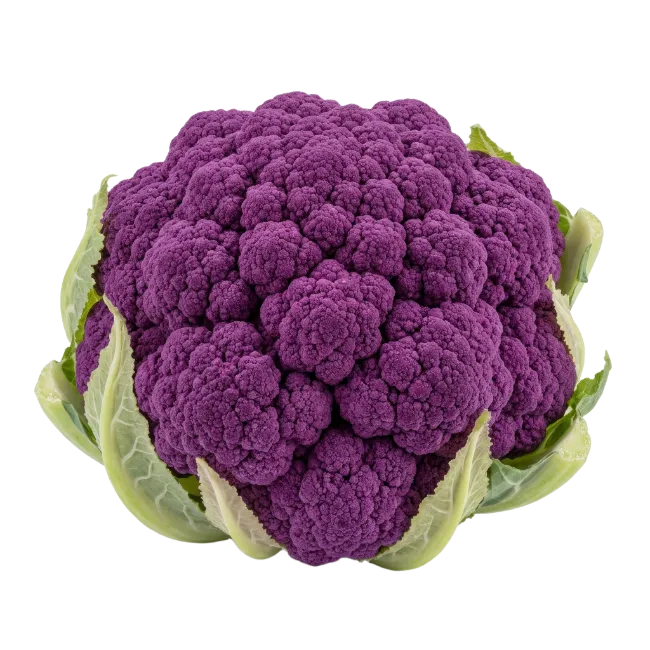 Fresh Purple Cauliflower Head