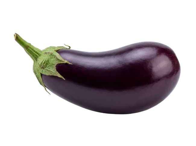 Fresh Purple Eggplant Isolated