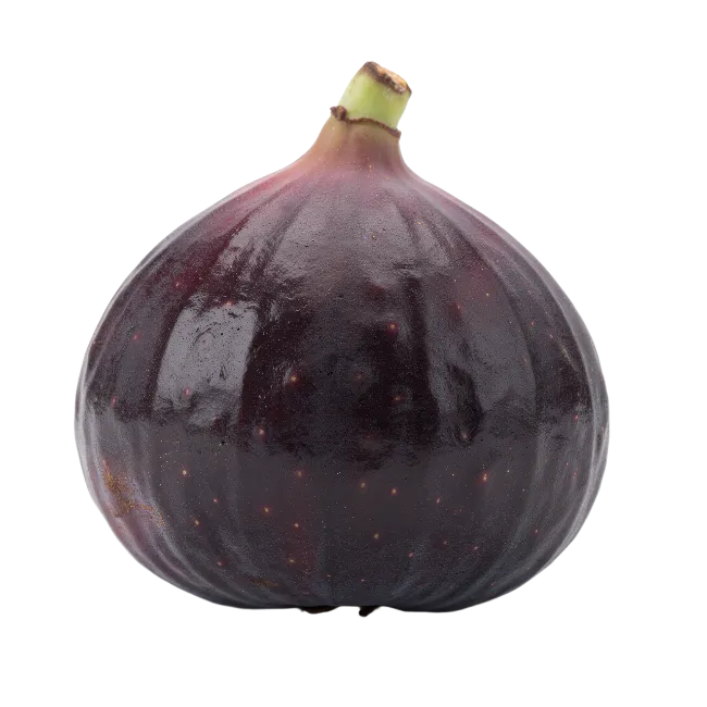 Fresh Purple Fig Fruit Isolated