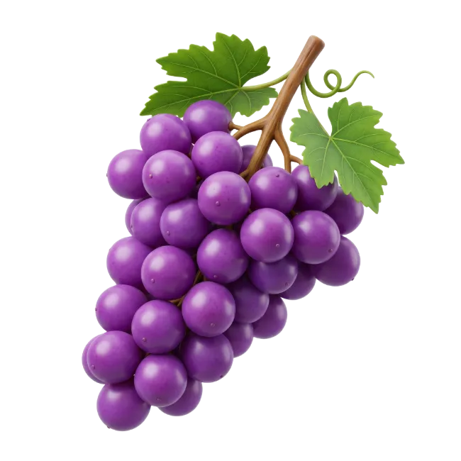 Fresh Purple Grapes Cluster
