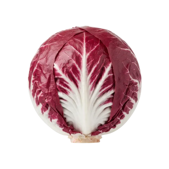 Fresh Radicchio Cabbage Head