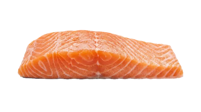 Fresh Raw Salmon Fillet Cut