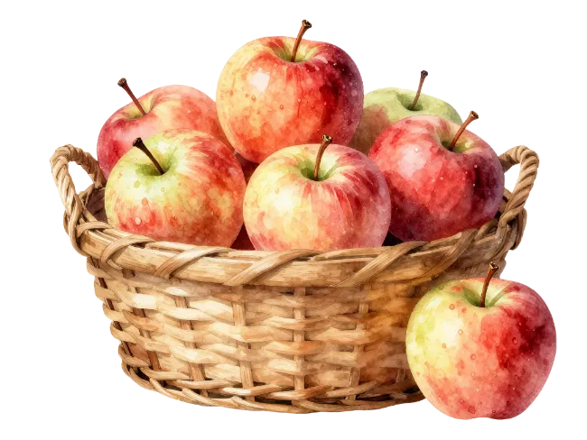 Fresh Red Apples in Wicker Basket Watercolor