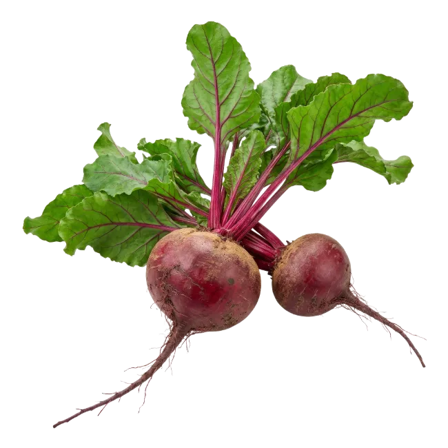 Fresh Red Beetroots with Green Leaves