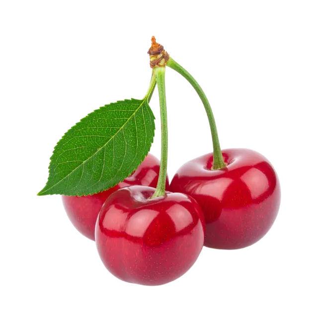 Fresh Red Cherries with Green Leaf
