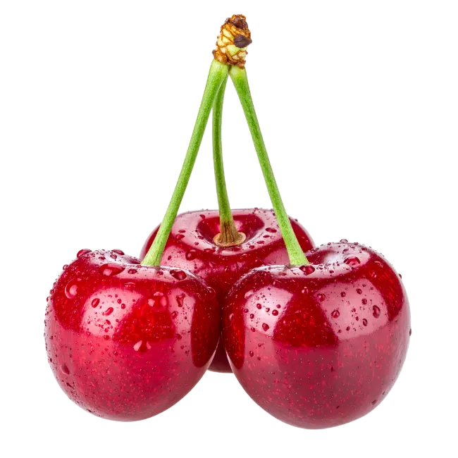 Fresh red cherries with water drops