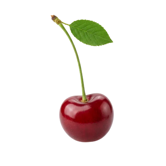 Fresh red cherry with green leaf