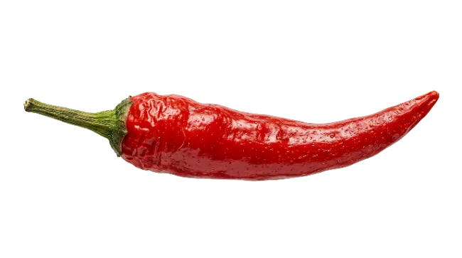 Fresh red chili pepper