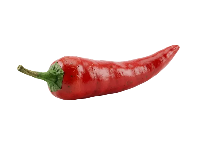Fresh red chili pepper isolated