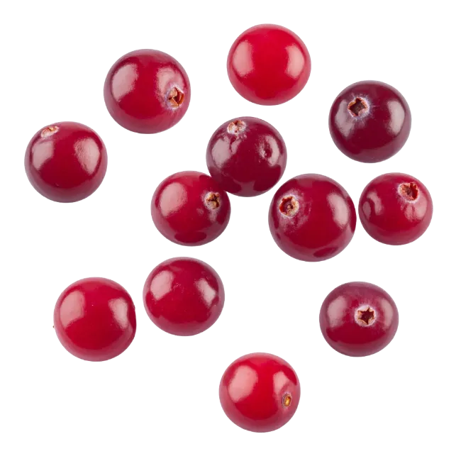 Fresh red cranberries isolated