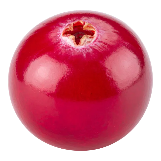 Fresh Red Cranberry Fruit