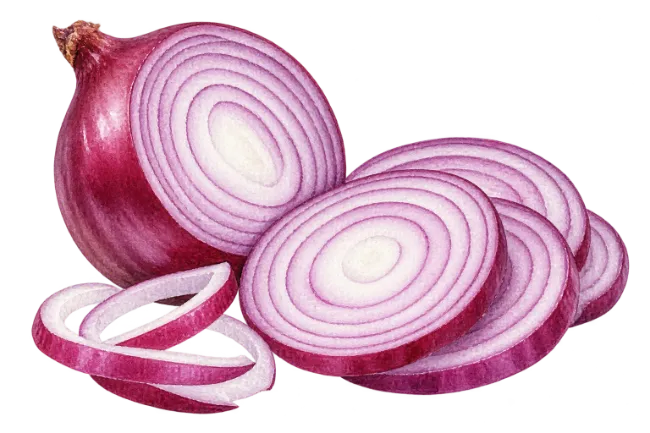 Fresh Red Onion Halves and Slices