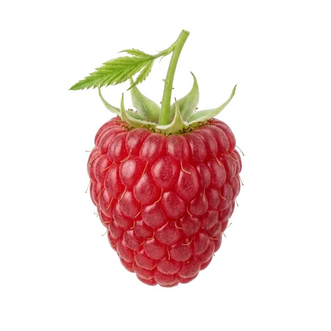 Fresh Red Raspberry with Green Leaf