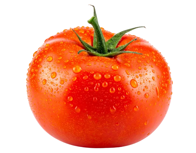 Fresh red tomato with water droplets