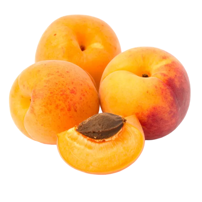 Fresh Ripe Apricots with Pit