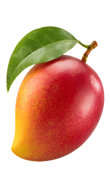 Fresh Ripe Mango with Leaf Isolated