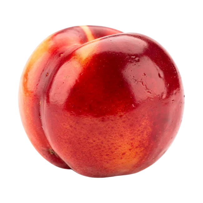 Fresh Ripe Nectarine Fruit