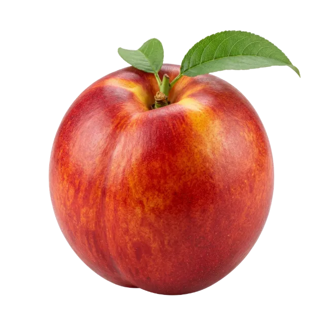 Fresh Ripe Nectarine with Green Leaves