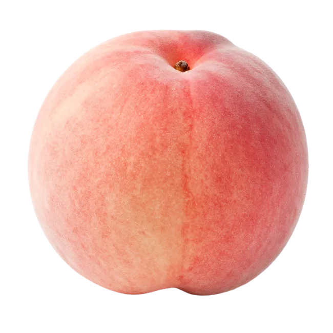 Fresh Ripe Peach Fruit