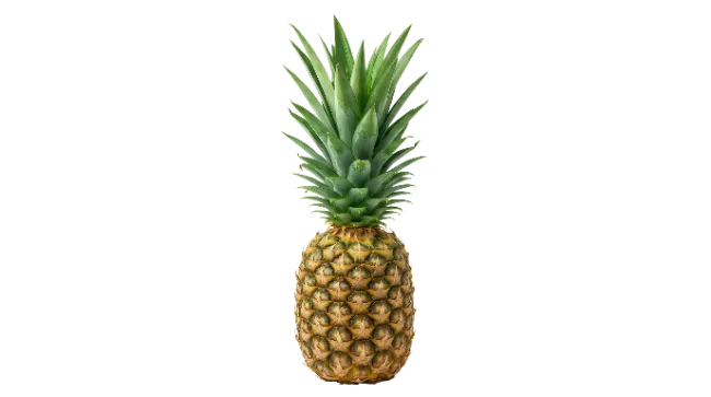 Fresh Ripe Pineapple Fruit