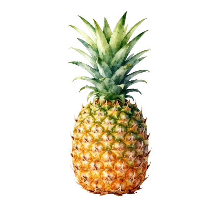 Fresh Ripe Pineapple Fruit Isolated