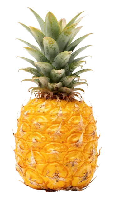 Fresh Ripe Pineapple Fruit Isolated