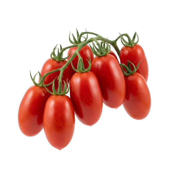 Fresh Roma Tomatoes on the Vine