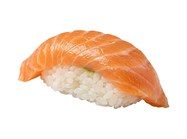 Fresh Salmon Nigiri Sushi