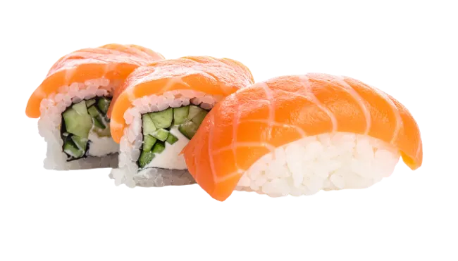 Fresh Salmon Sushi Rolls