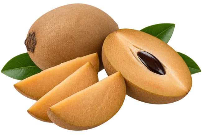 Fresh Sapodilla Fruit with Slices and Leaves