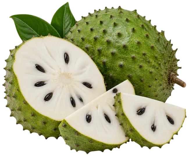 Fresh Soursop Fruit Slices and Whole Fruit