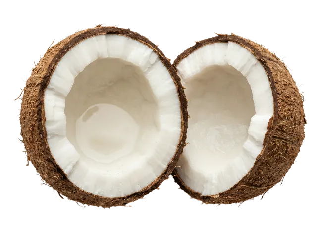 Fresh Split Coconut Halves