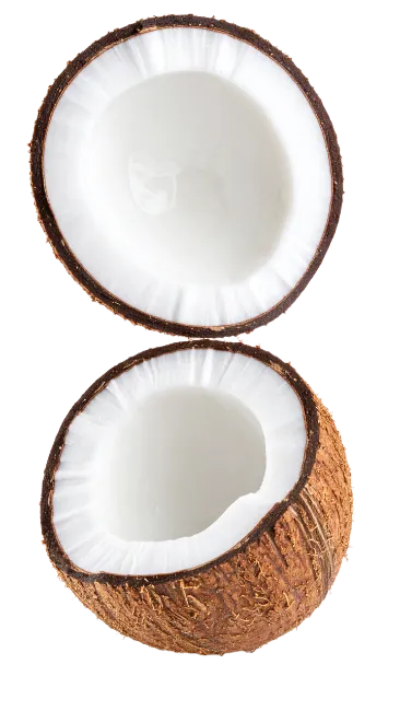 Fresh Split Coconut Halves