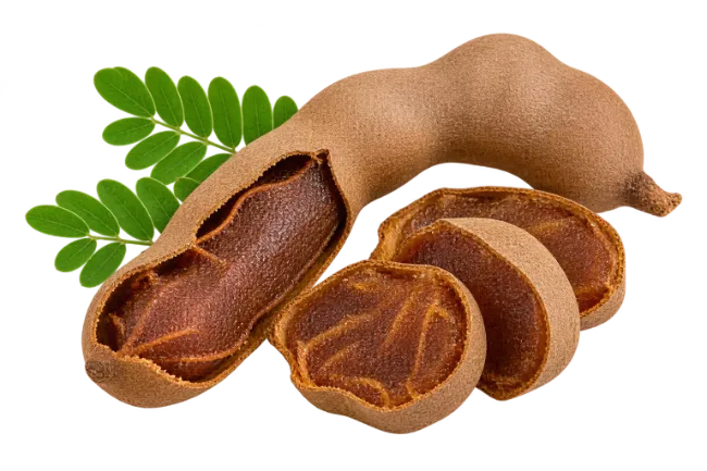 Fresh Tamarind Pod and Slices with Leaves