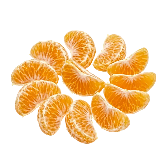Fresh Tangerine Segments Arranged in Circle