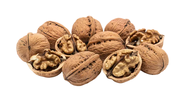 Fresh Walnuts Pile